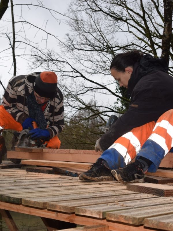 Chantier 9 au 12 fevrier (11)