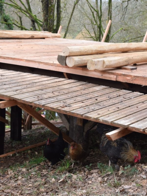 Chantier 9 au 12 fevrier (13)