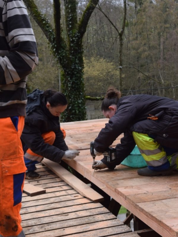 Chantier 9 au 12 fevrier (3)