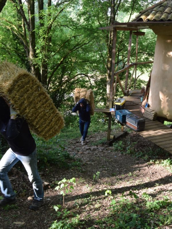 Déchargement paille (10)