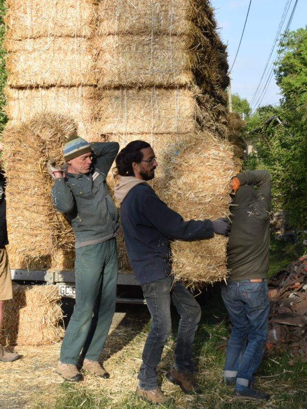 Déchargement paille (6)