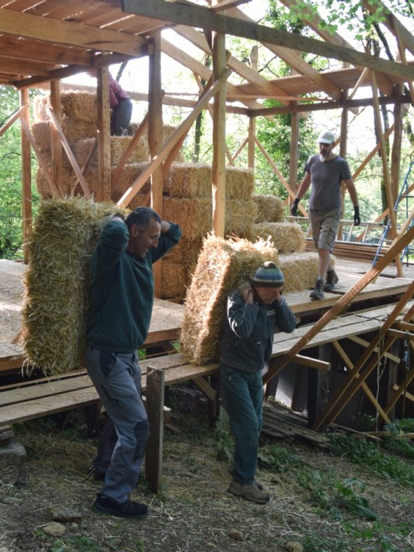 Déchargement paille (9)